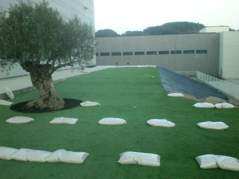 instal lacio de gespa artificial 01 instal lacio de gespa artificial 01