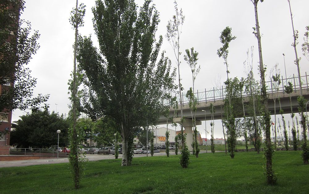 Manteniments de jardins a Terrassa